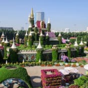 dubainest24-the-miracle-garden