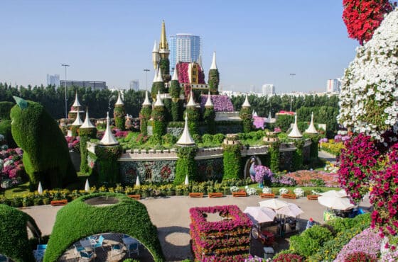 Miracle Garden – A Floral Wonderland in the Desert